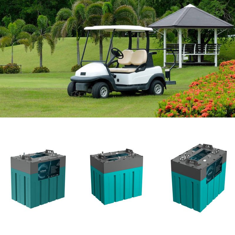 ROCKSOLAR 48V 30Ah LiFePO4 Golf Cart Battery